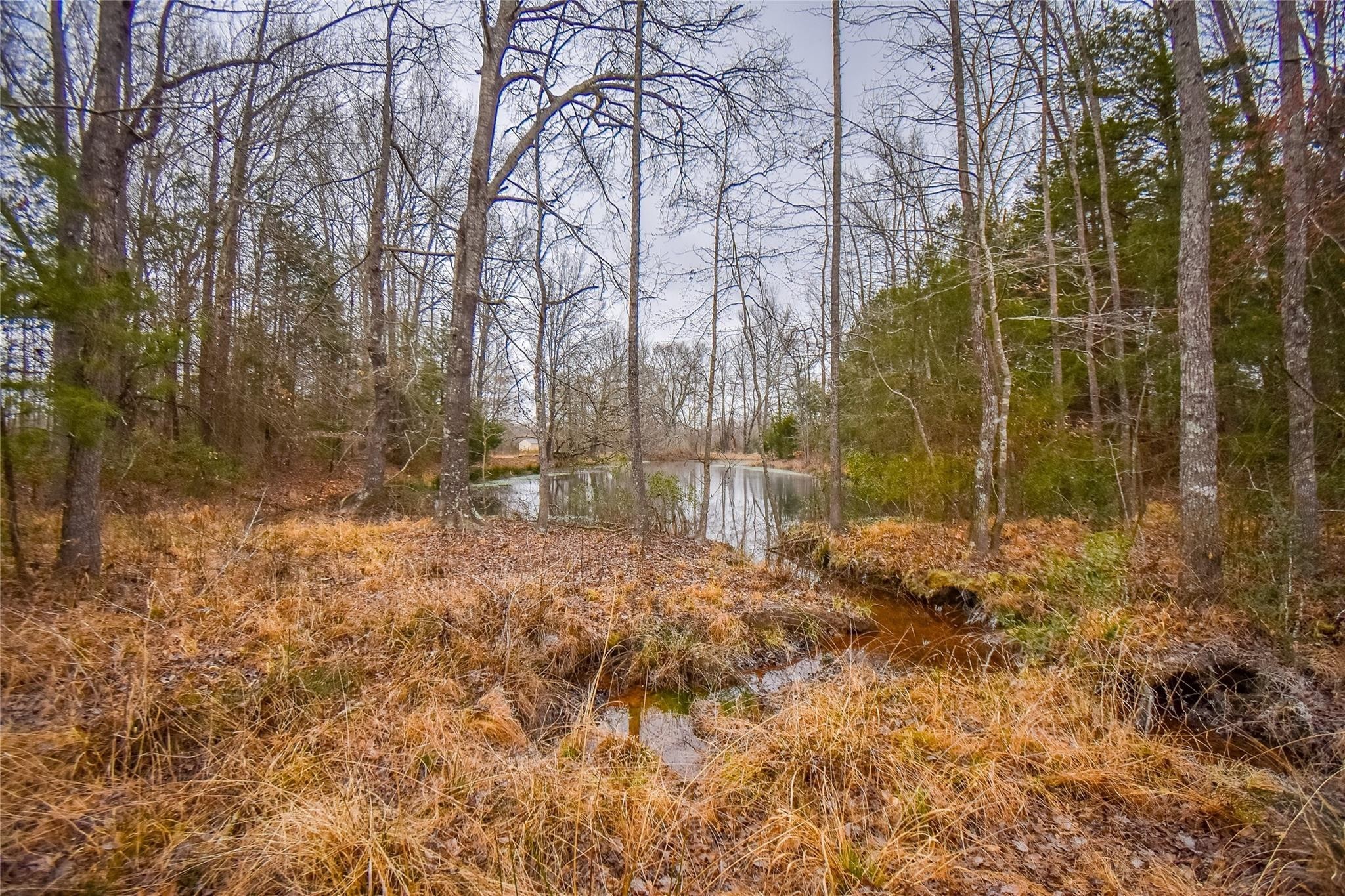 TBD PR 8903, Athens, TX, 75752