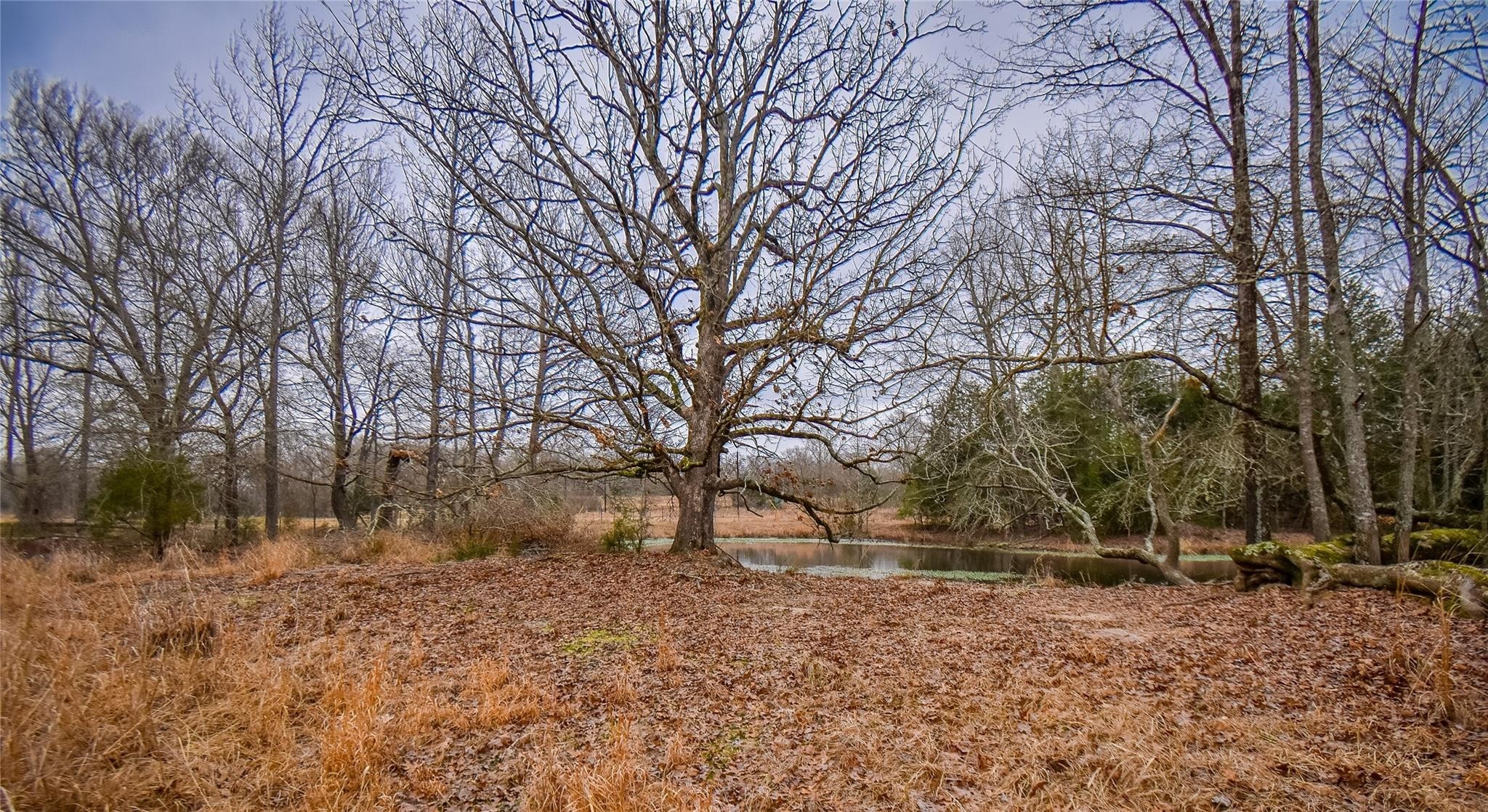 TBD PR 8903, Athens, TX, 75752