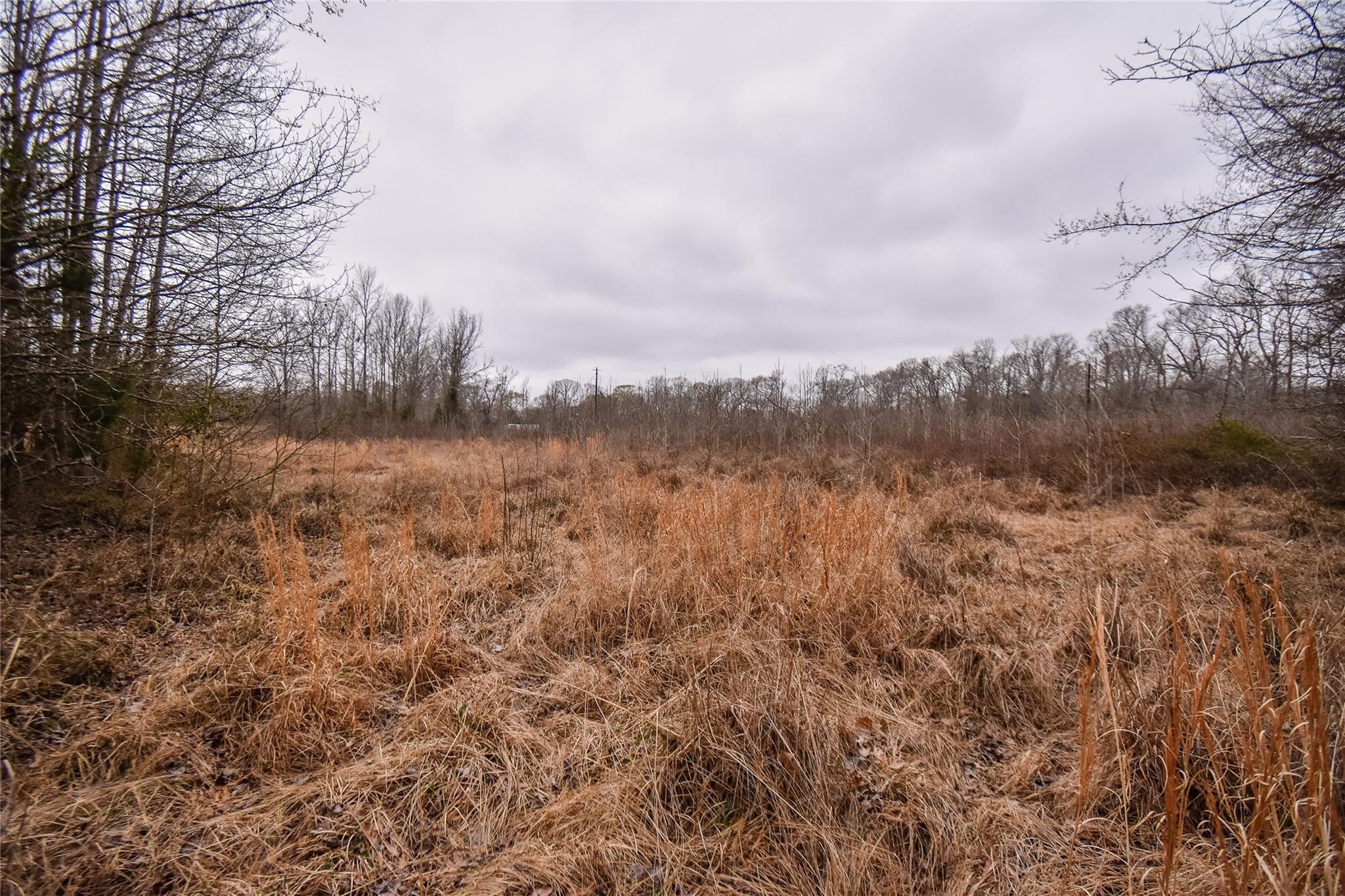 TBD PR 8903, Athens, TX, 75752