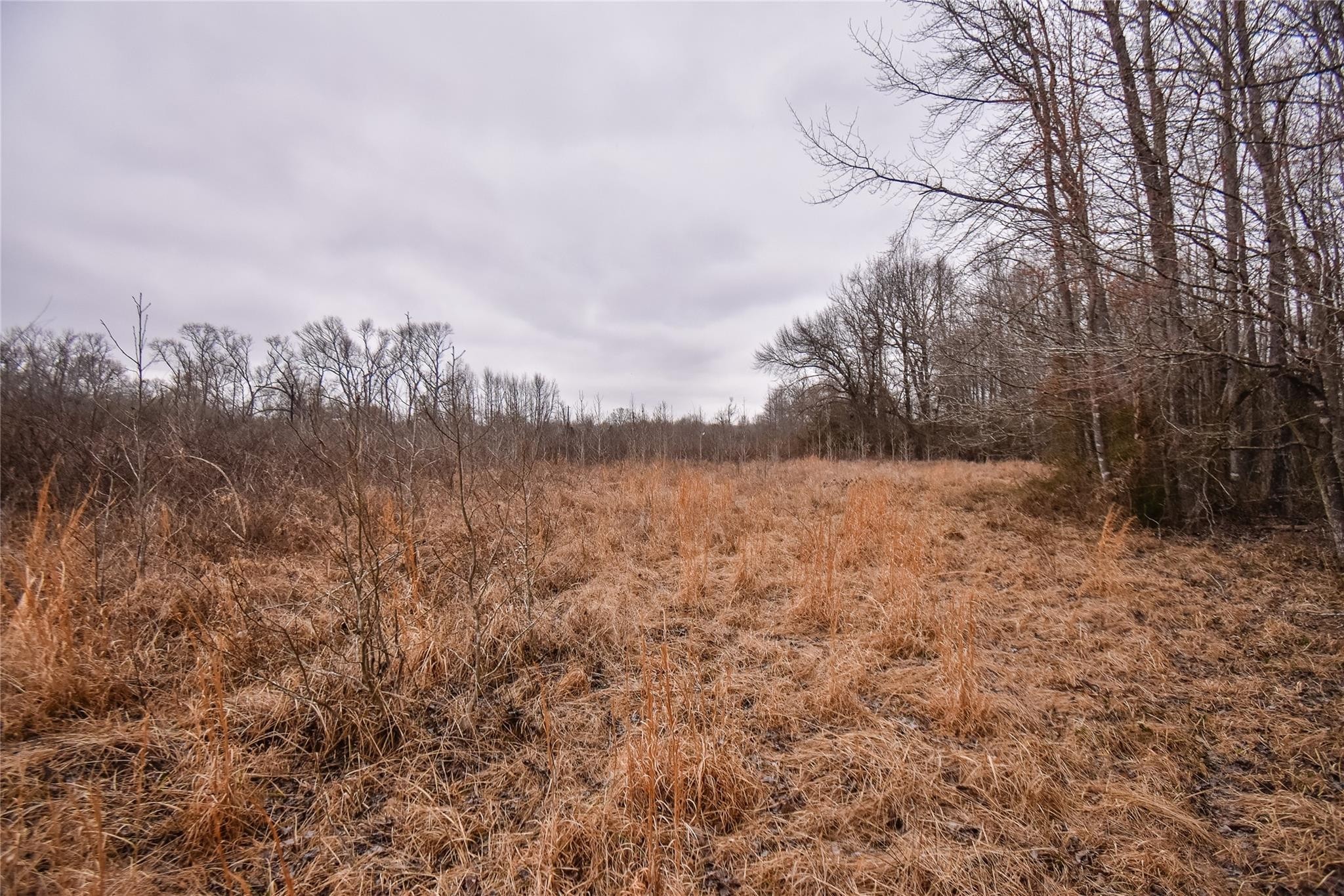 TBD PR 8903, Athens, TX, 75752