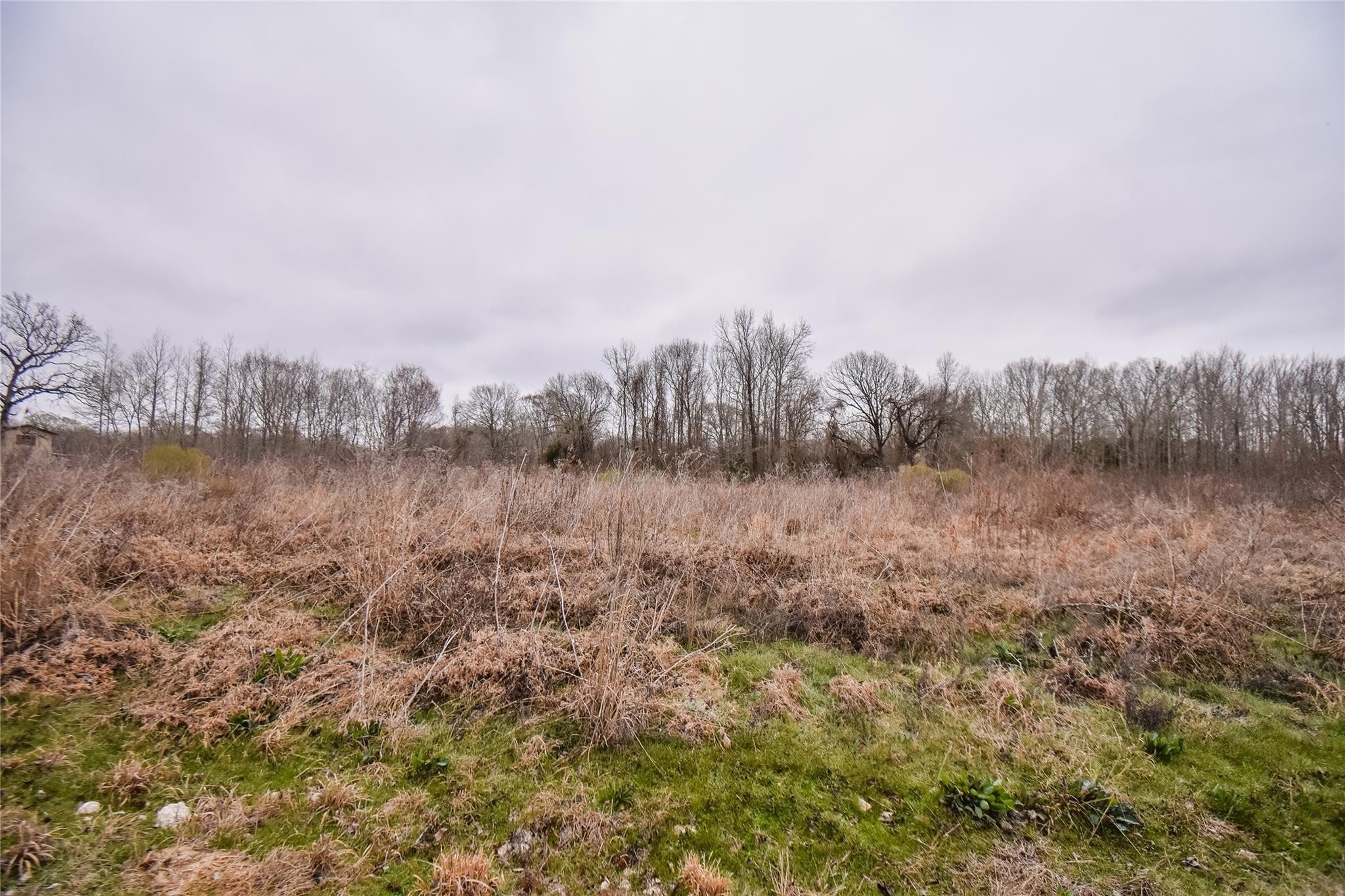 TBD PR 8903, Athens, TX, 75752