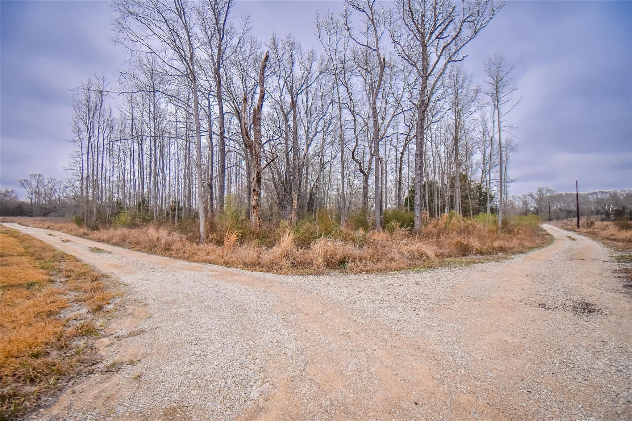 TBD PR 8903, Athens, TX, 75752
