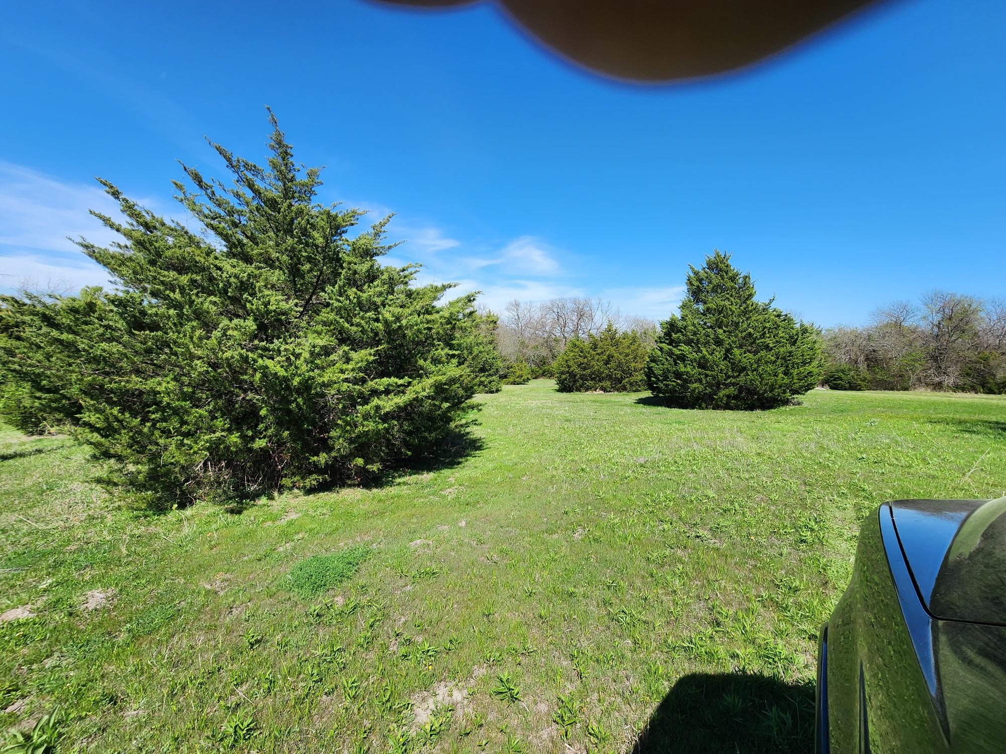 15957 CR 566, Farmersville, TX, 75442