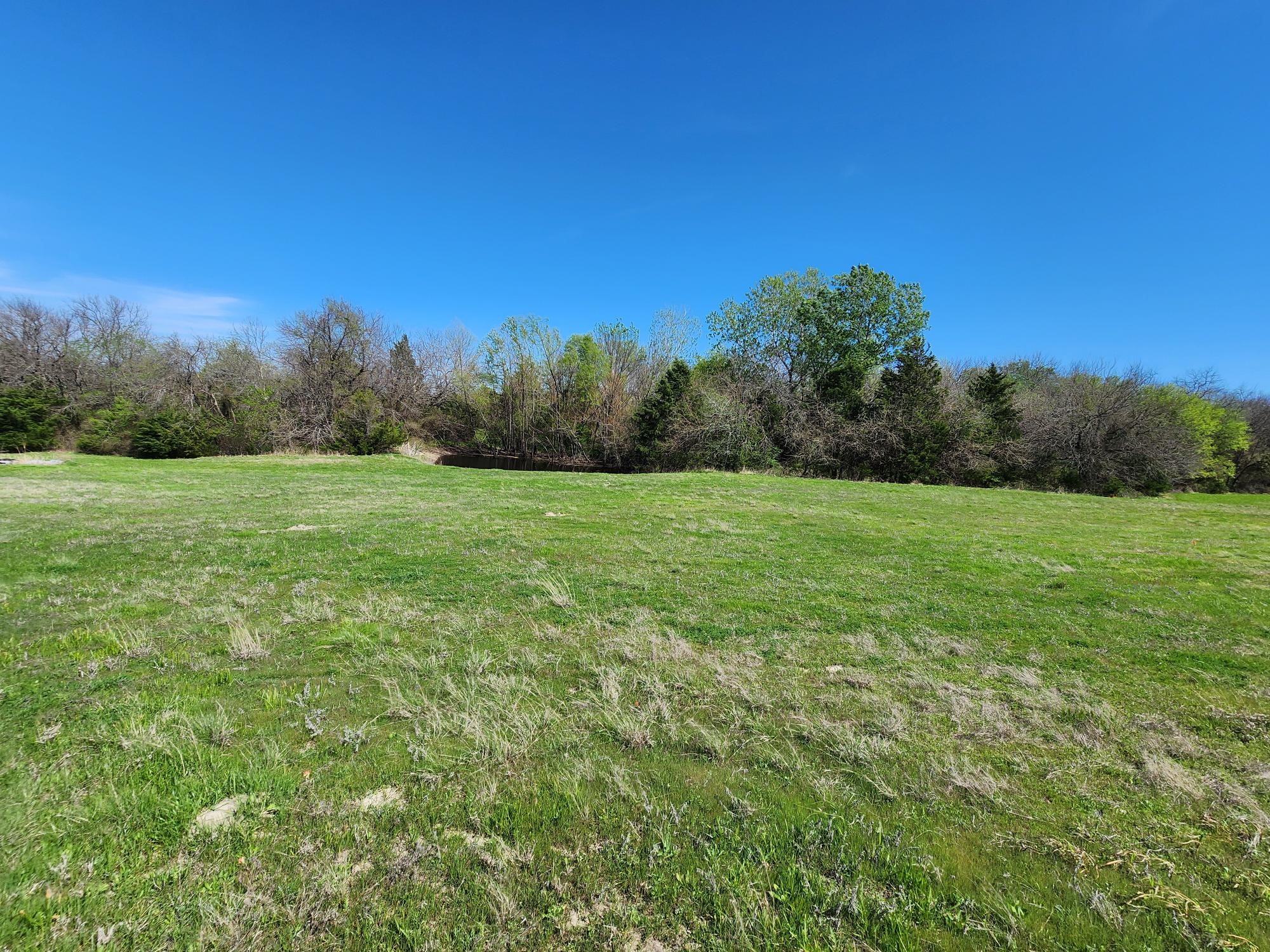 15957 CR 566, Farmersville, TX, 75442