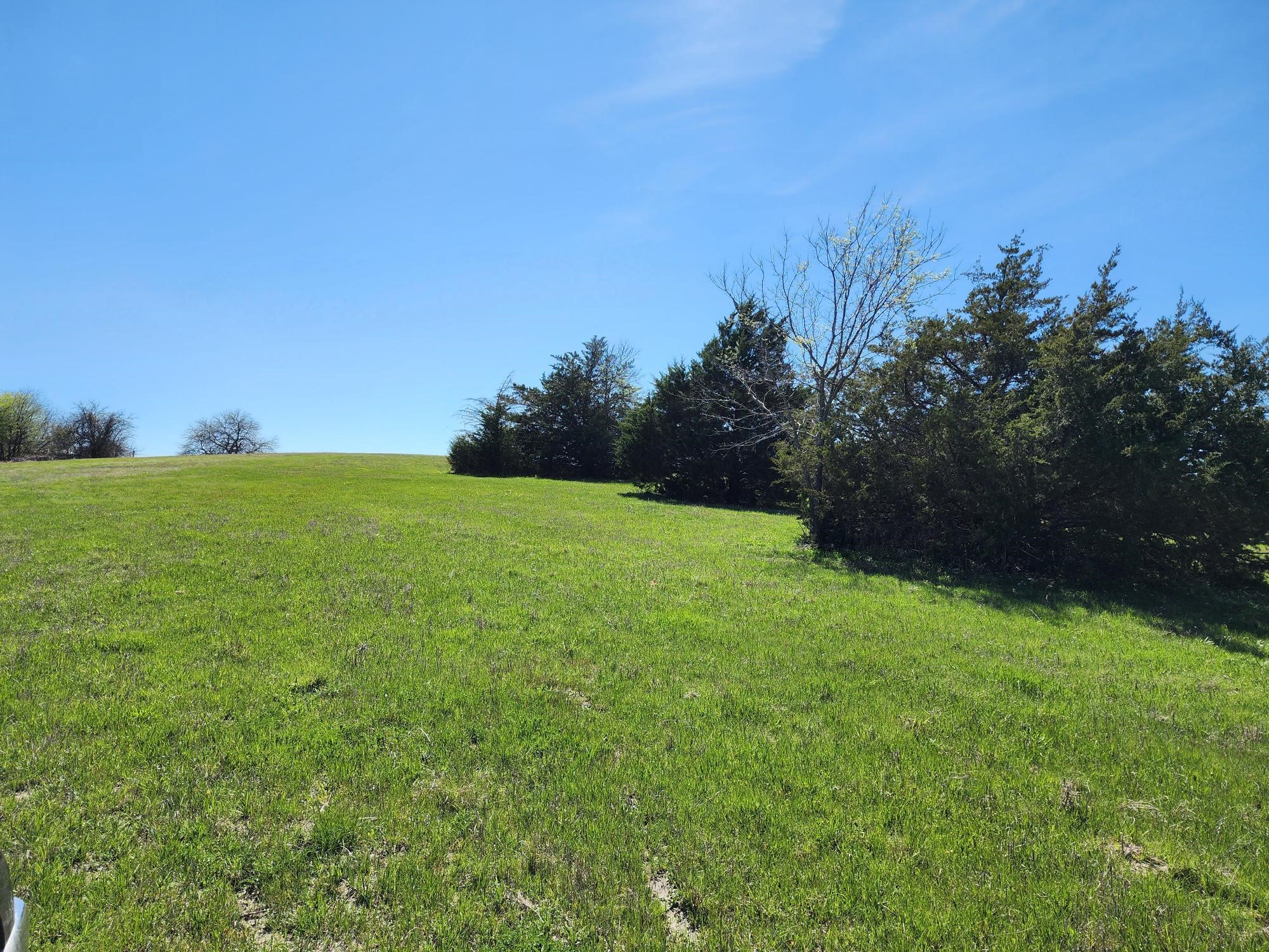 15957 CR 566, Farmersville, TX, 75442