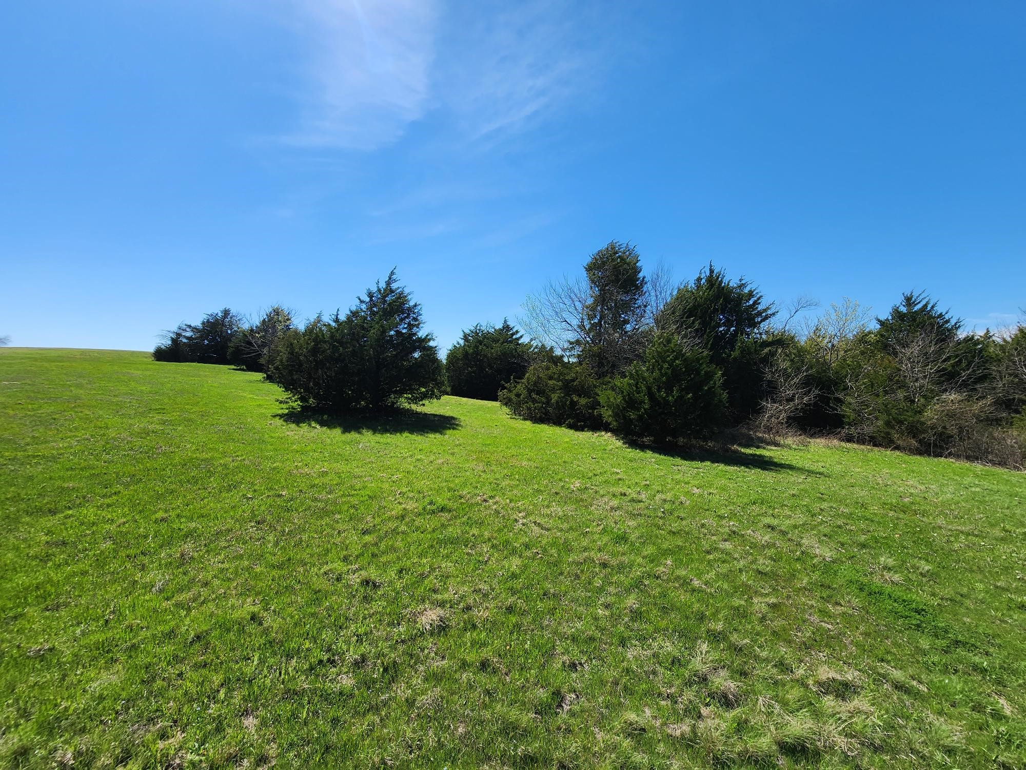 15957 CR 566, Farmersville, TX, 75442