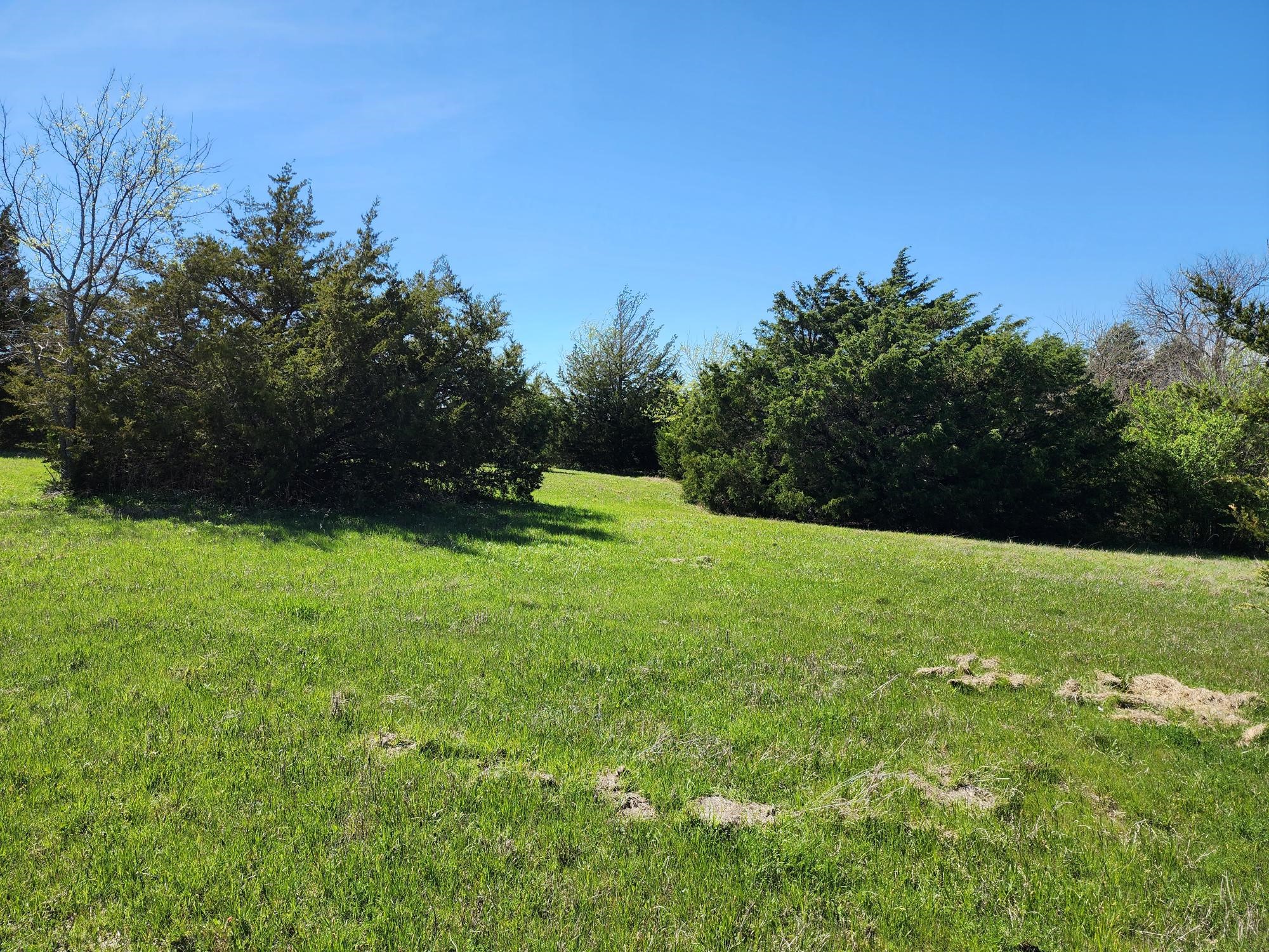 15957 CR 566, Farmersville, TX, 75442