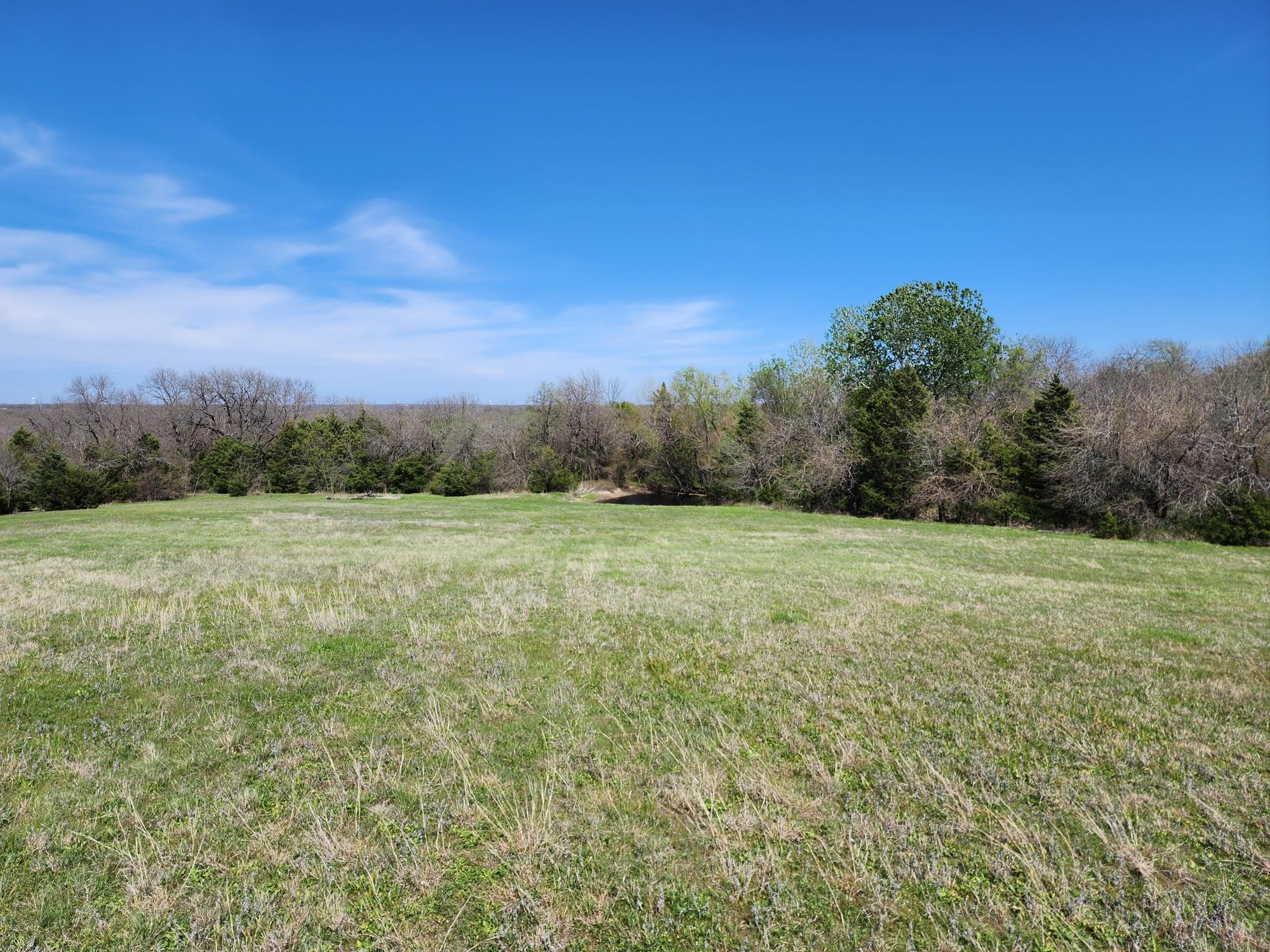 15957 CR 566, Farmersville, TX, 75442