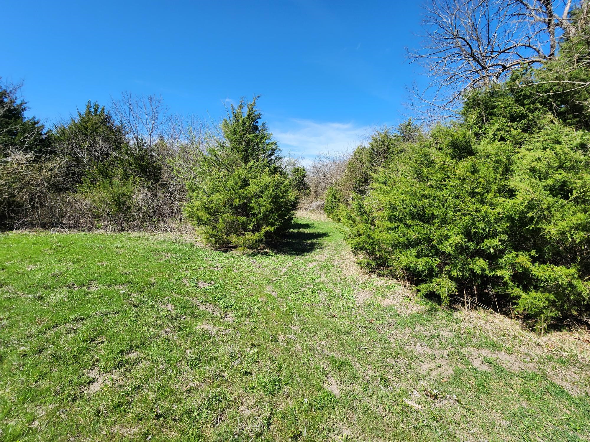 15957 CR 566, Farmersville, TX, 75442