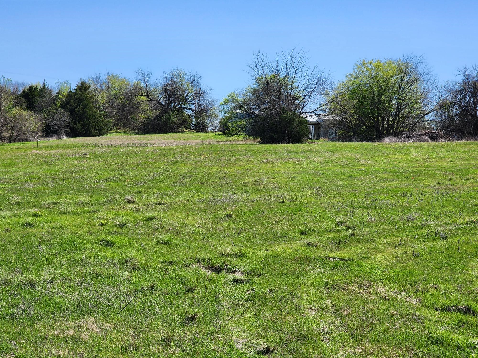 15957 CR 566, Farmersville, TX, 75442
