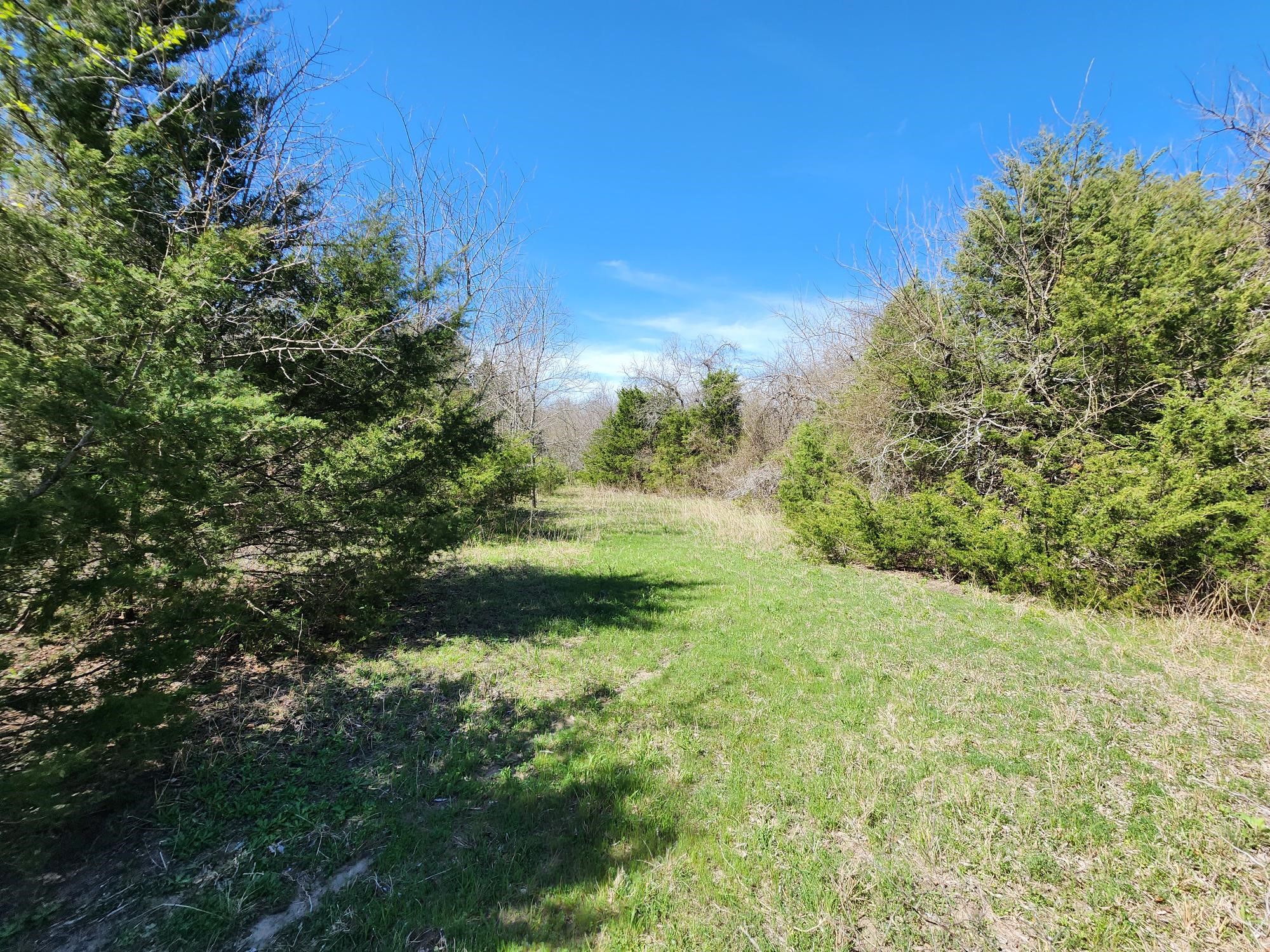 15957 CR 566, Farmersville, TX, 75442
