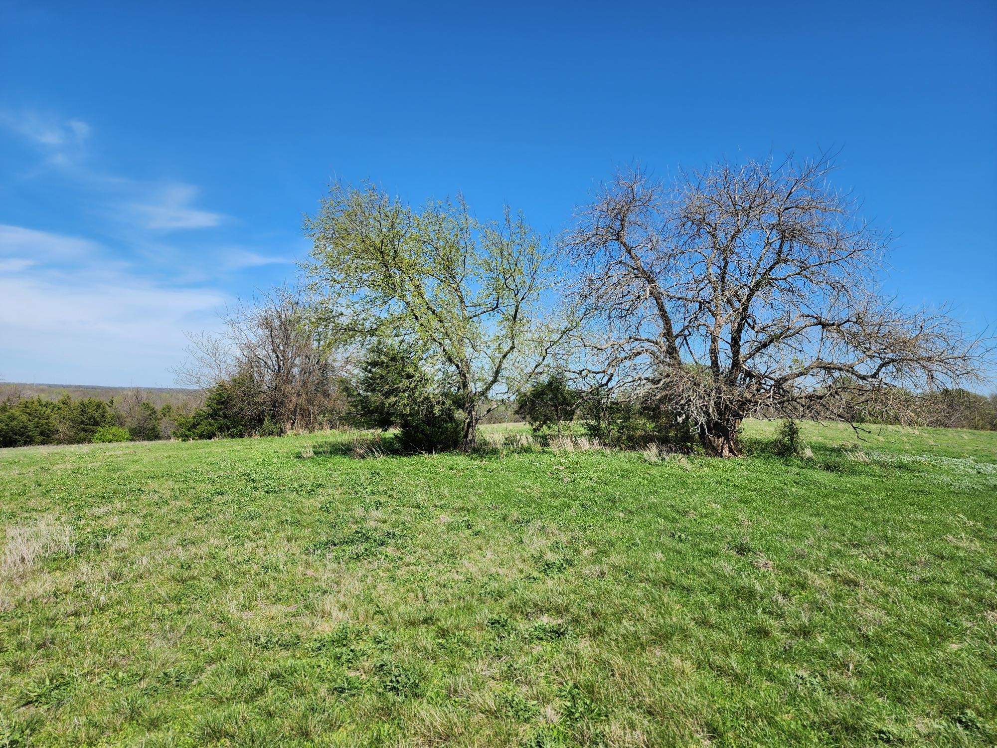 15957 CR 566, Farmersville, TX, 75442