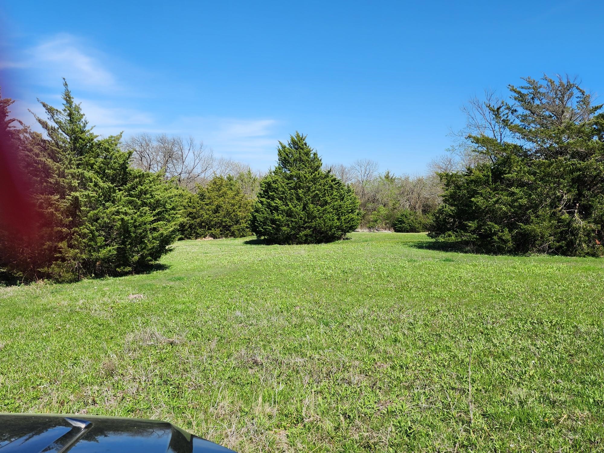 15957 CR 566, Farmersville, TX, 75442