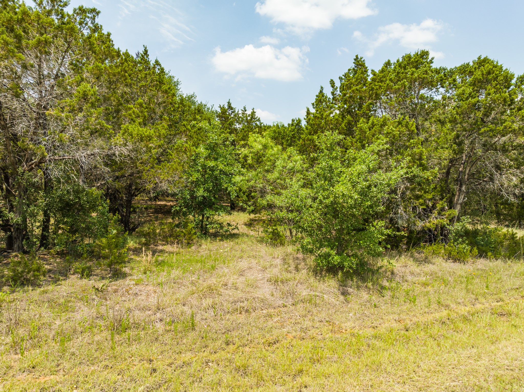 44015 Thistle Court, Whitney, TX, 76692