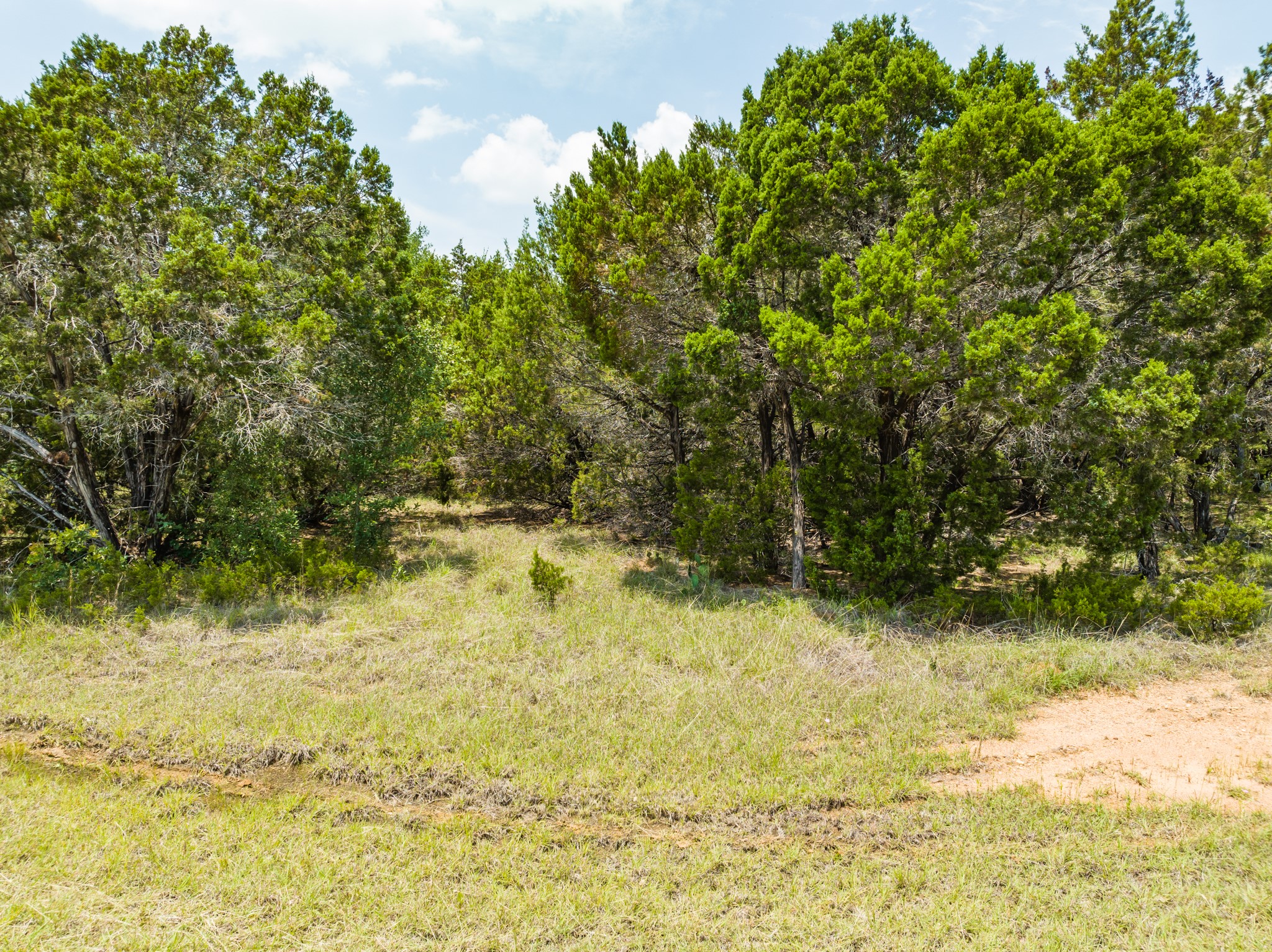 44015 Thistle Court, Whitney, TX, 76692