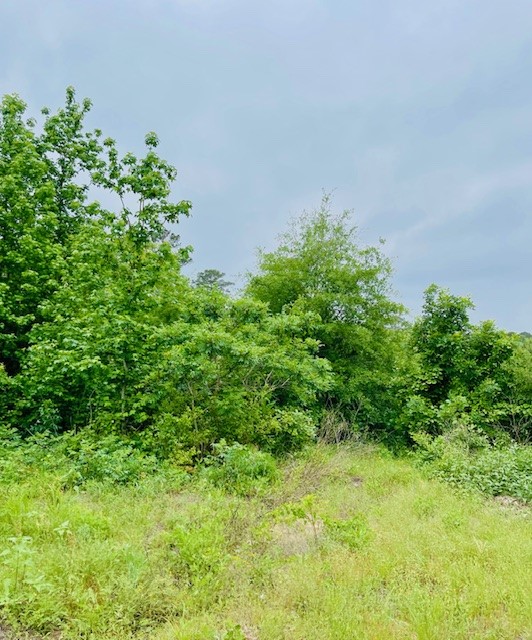 2665 County Road 3940, Mineola, TX, 75773
