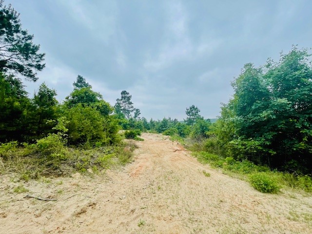 2665 County Road 3940, Mineola, TX, 75773