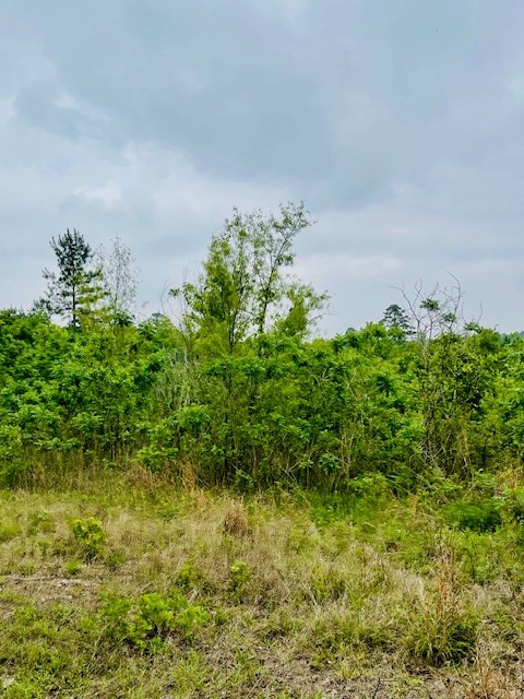 2665 County Road 3940, Mineola, TX, 75773