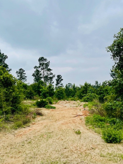 2665 County Road 3940, Mineola, TX, 75773