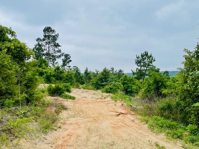 2665 County Road 3940, Mineola, TX, 75773