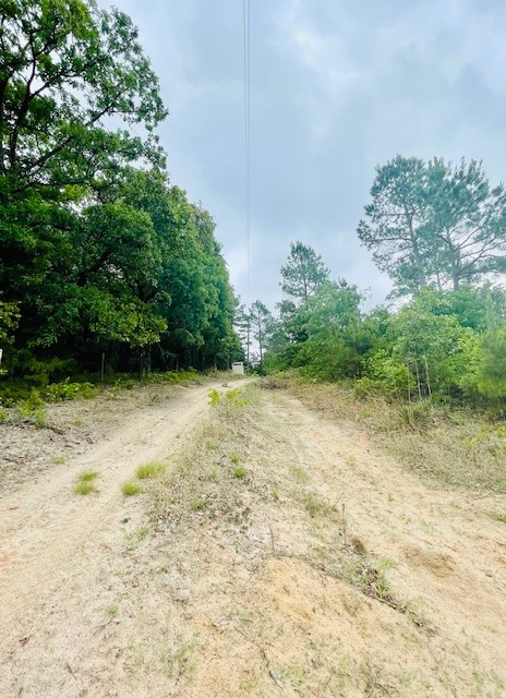 2665 County Road 3940, Mineola, TX, 75773