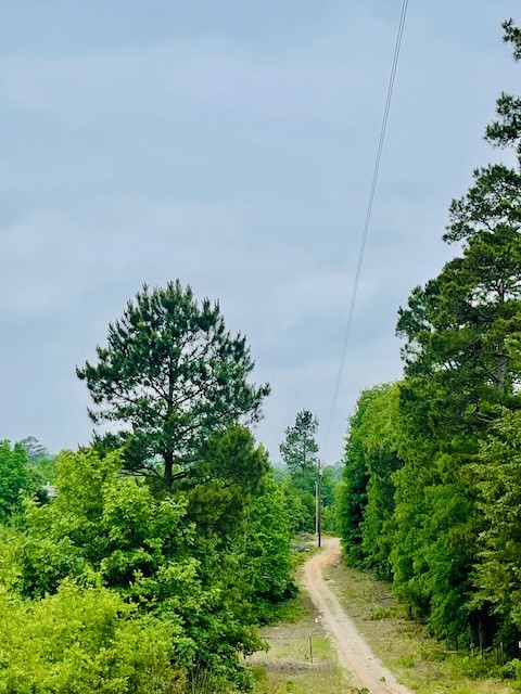 2665 County Road 3940, Mineola, TX, 75773