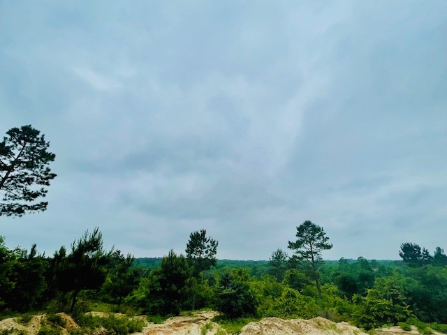 2665 County Road 3940, Mineola, TX, 75773