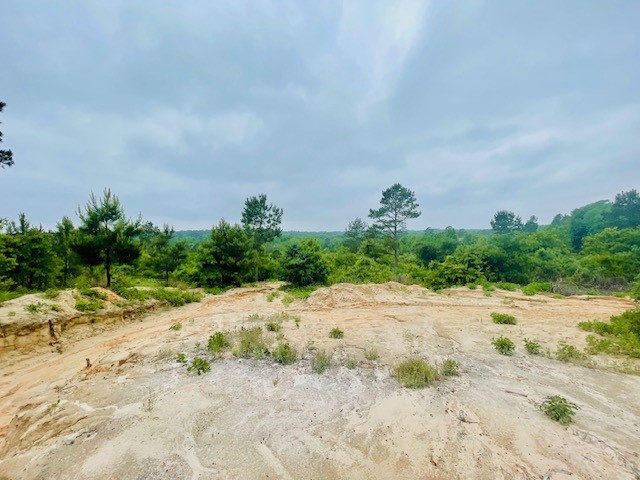 2665 County Road 3940, Mineola, TX, 75773