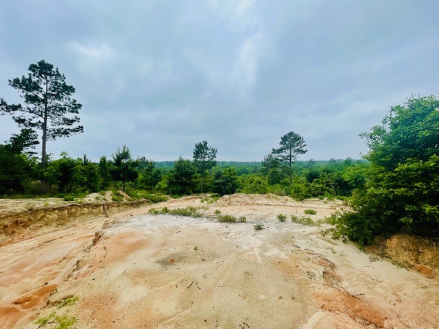 2665 County Road 3940, Mineola, TX, 75773