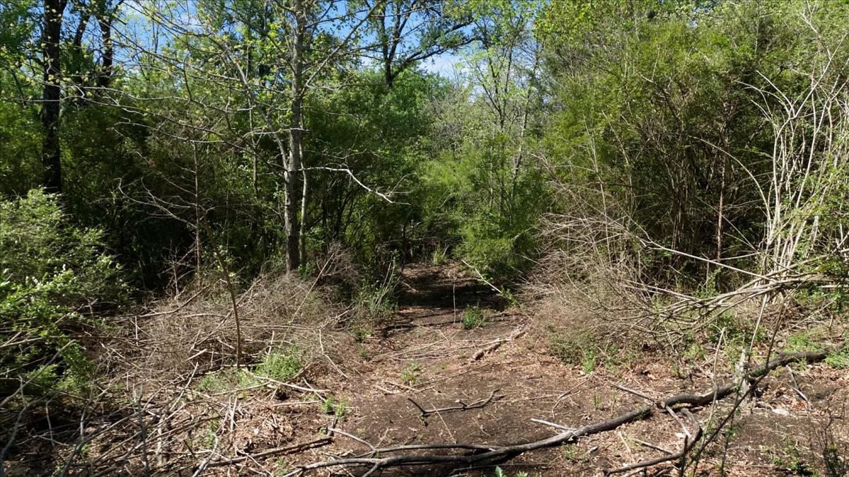 TBD County Road 4511, Commerce, TX, 75428