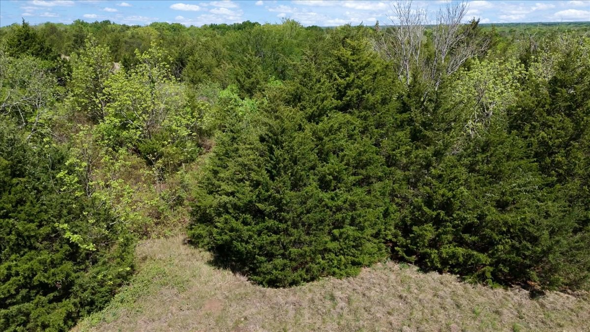 TBD County Road 4511, Commerce, TX, 75428