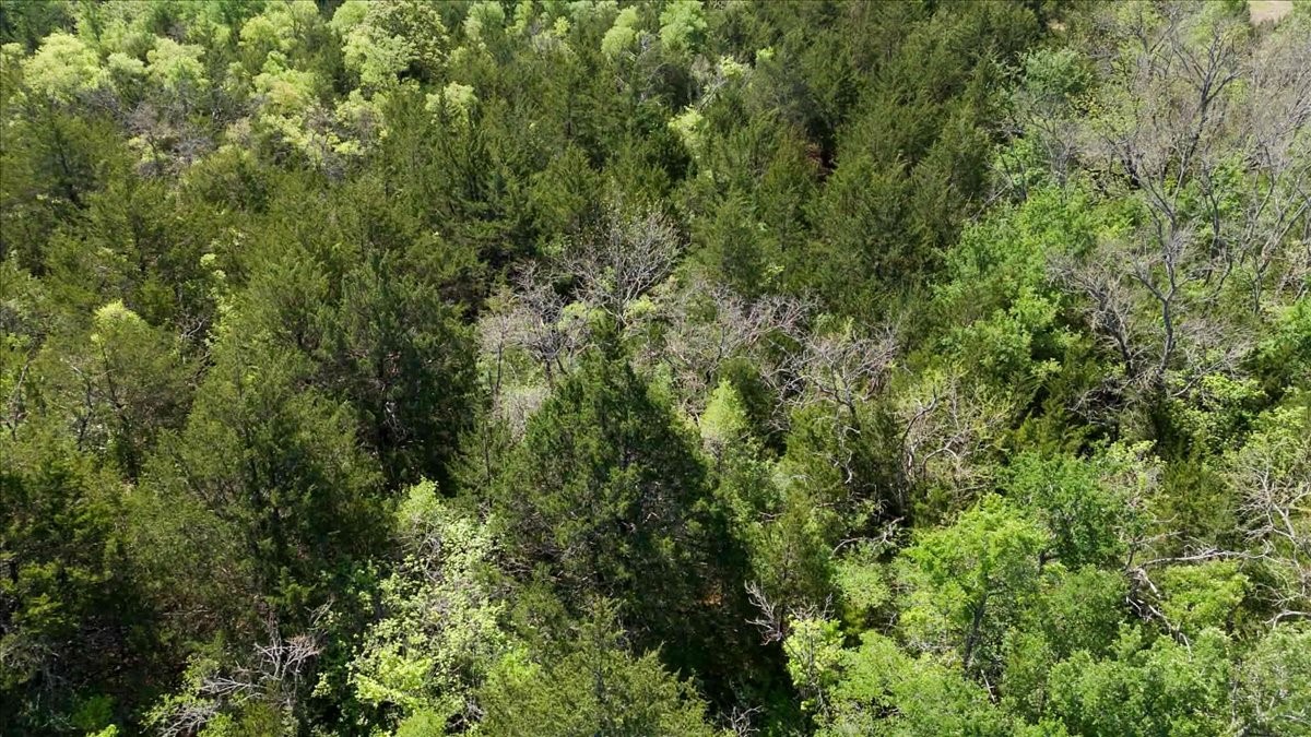 TBD County Road 4511, Commerce, TX, 75428