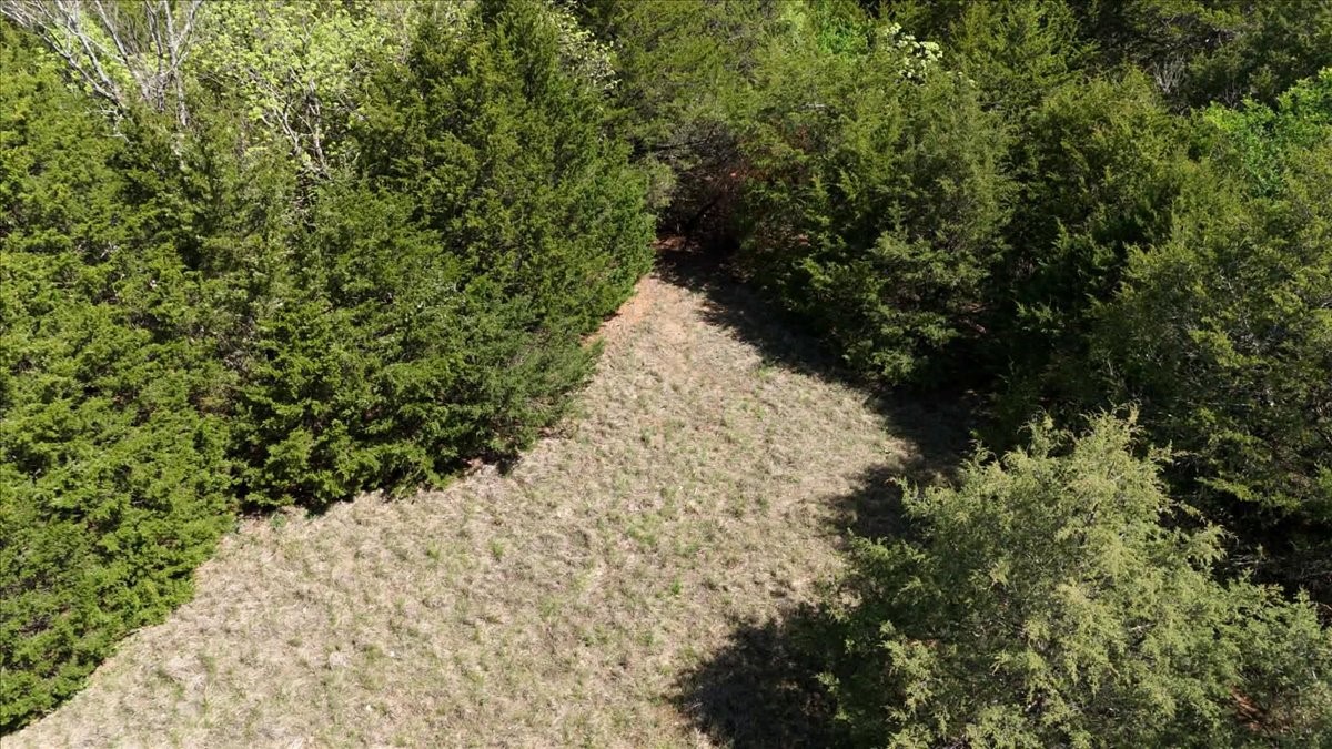 TBD County Road 4511, Commerce, TX, 75428