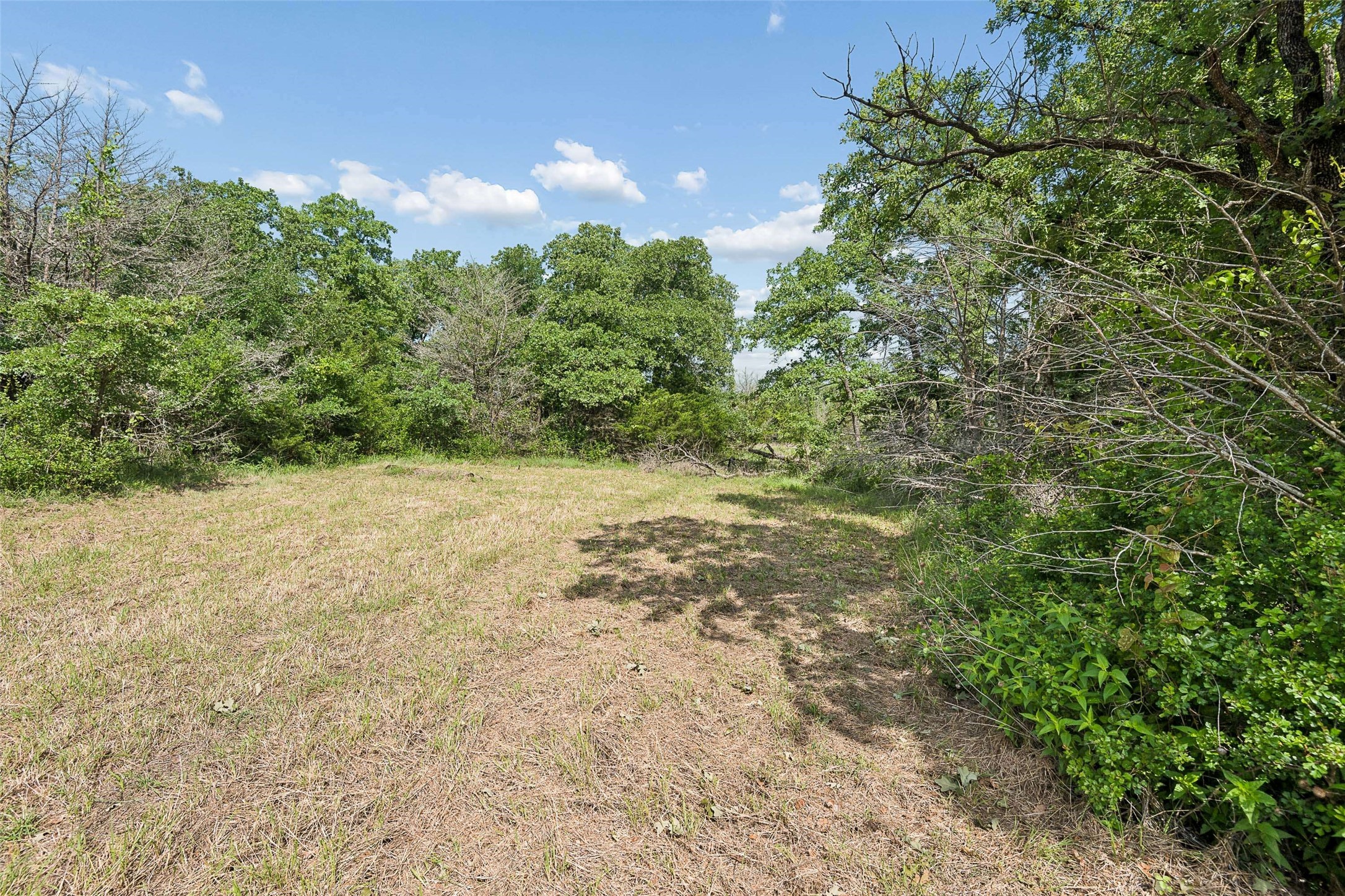194 Private Road 4663, Boyd, TX, 76023