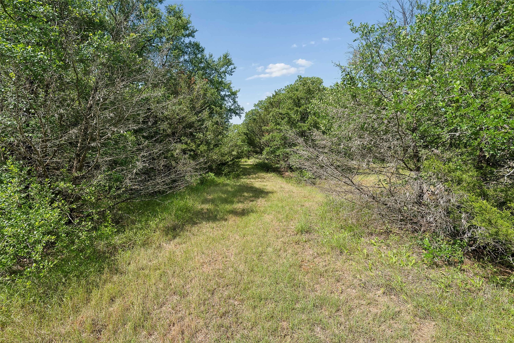 194 Private Road 4663, Boyd, TX, 76023