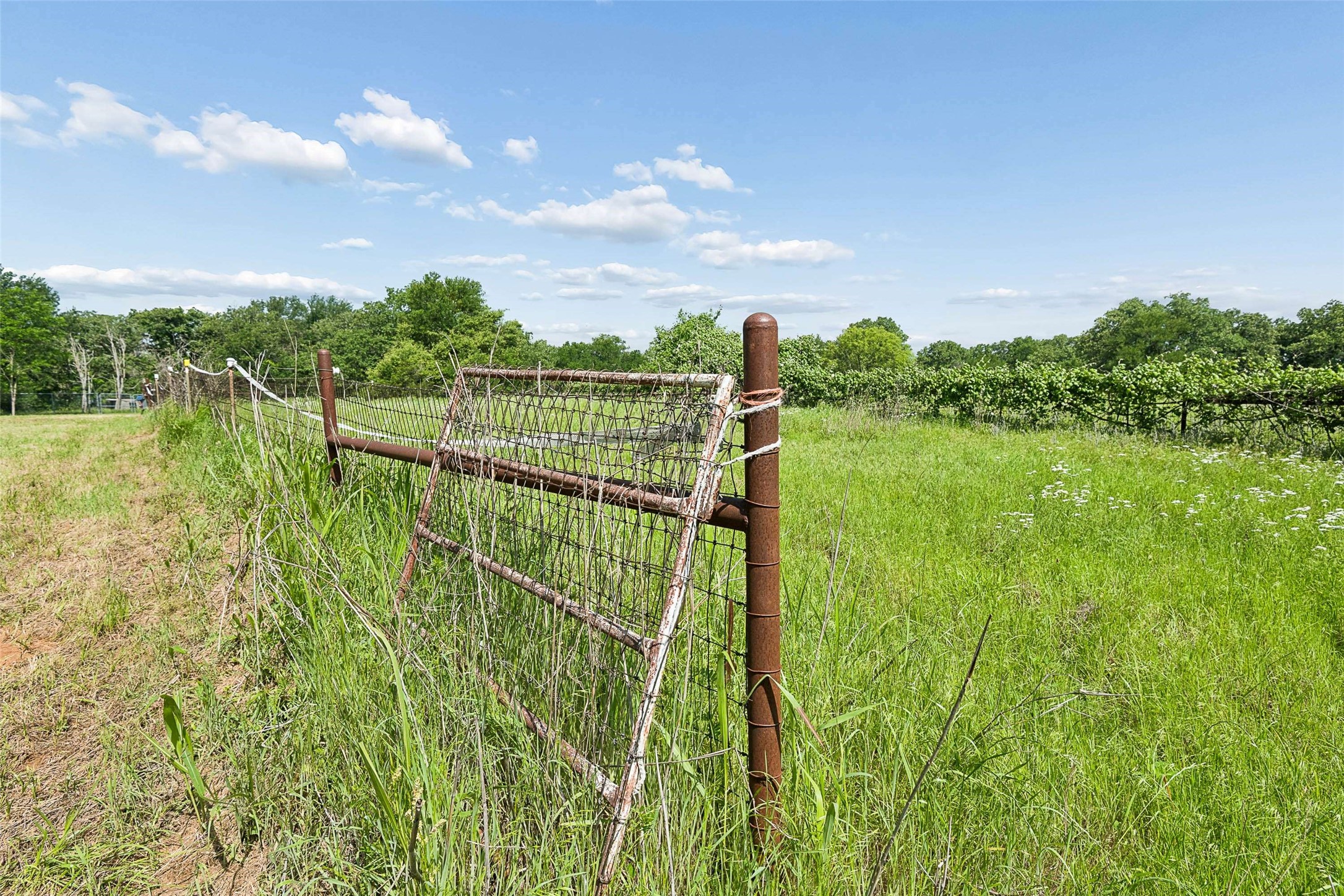 194 Private Road 4663, Boyd, TX, 76023