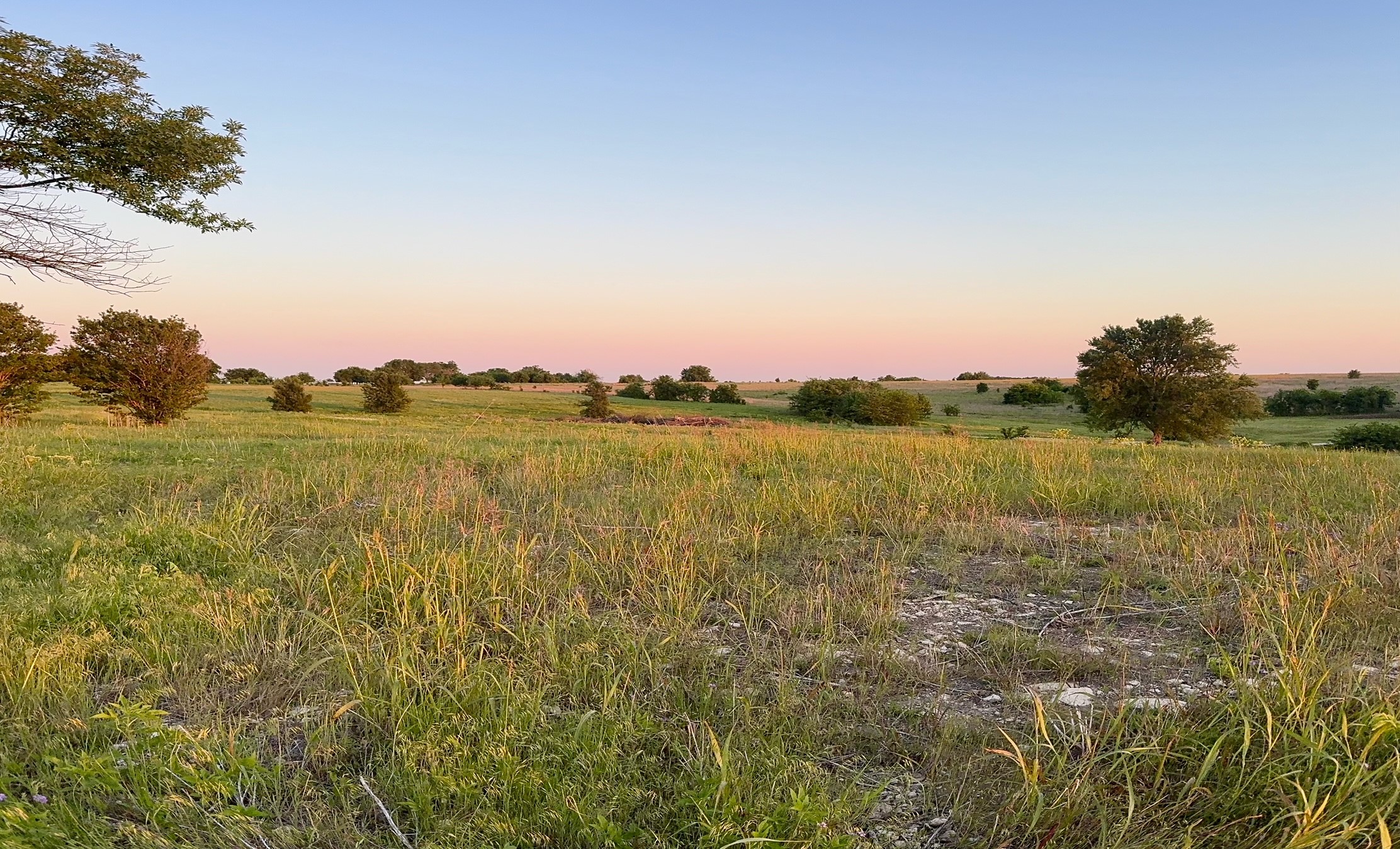 596 County Road 339, Gainesville, TX, 76240
