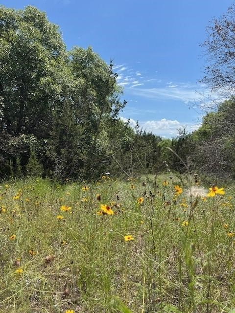 1015 Bluegill Ridge, Bluff Dale, TX, 76433