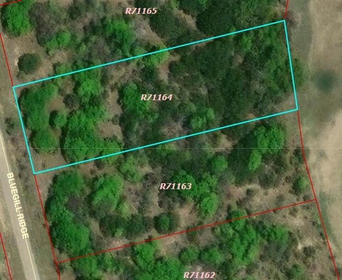 1015 Bluegill Ridge, Bluff Dale, TX, 76433
