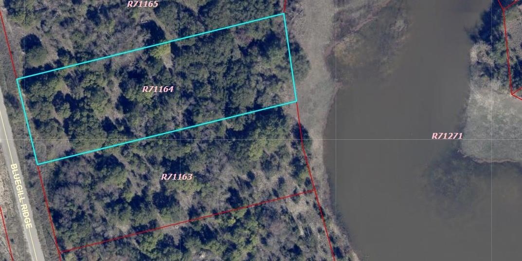 1015 Bluegill Ridge, Bluff Dale, TX, 76433