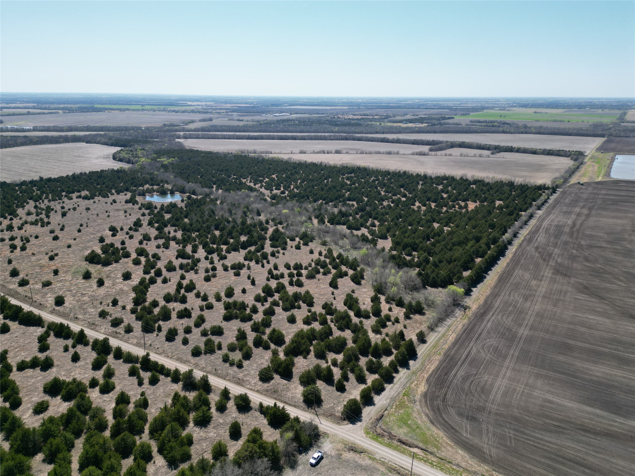 999 CR3805, Bailey, TX, 75413