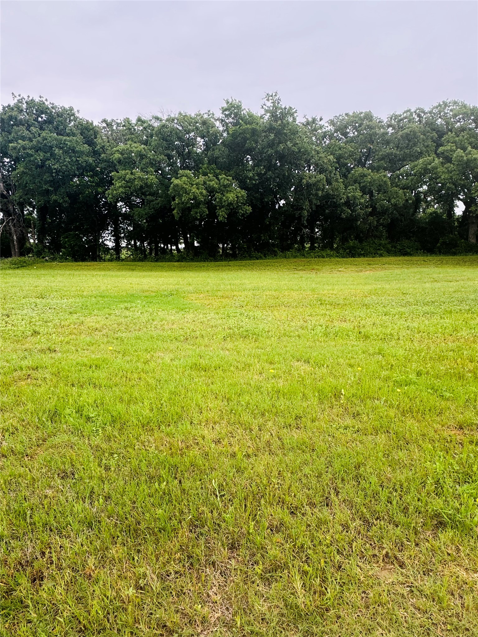 107 Kylie Street, Cleburne, TX, 76031