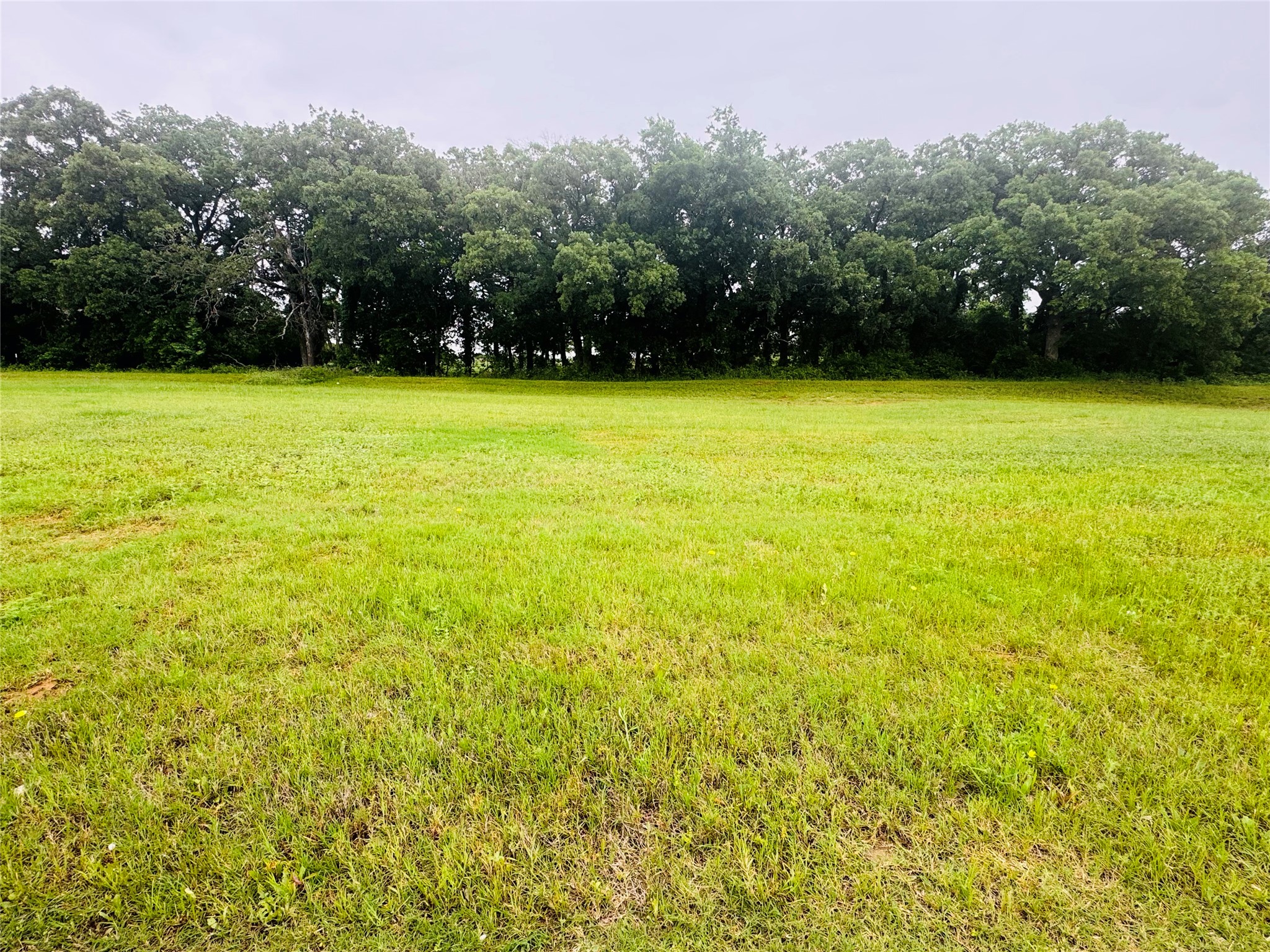 109 Kylie Street, Cleburne, TX, 76031