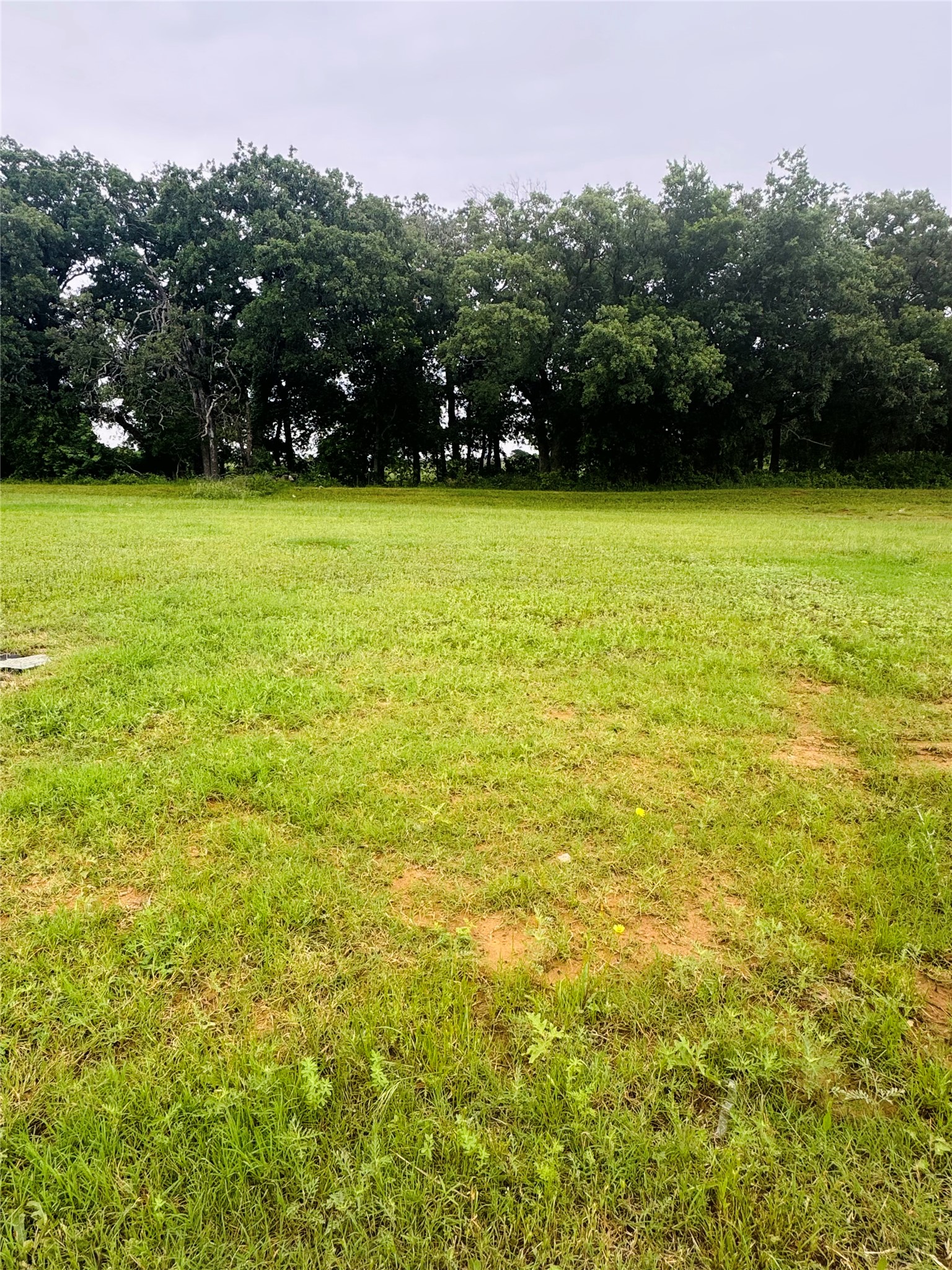 109 Kylie Street, Cleburne, TX, 76031