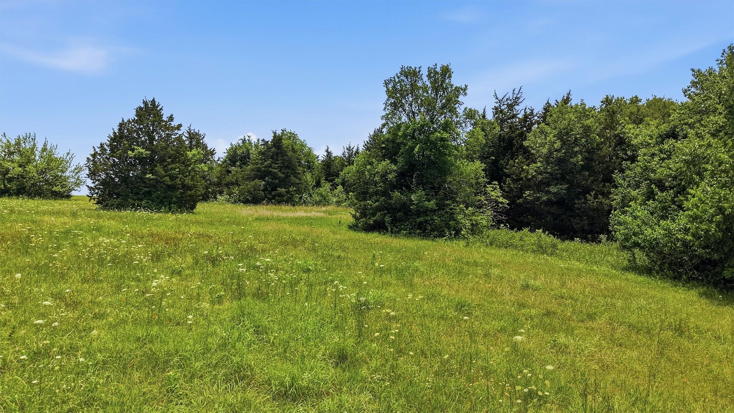 3.269 Acres Hwy 289, Pottsboro, TX, 75076
