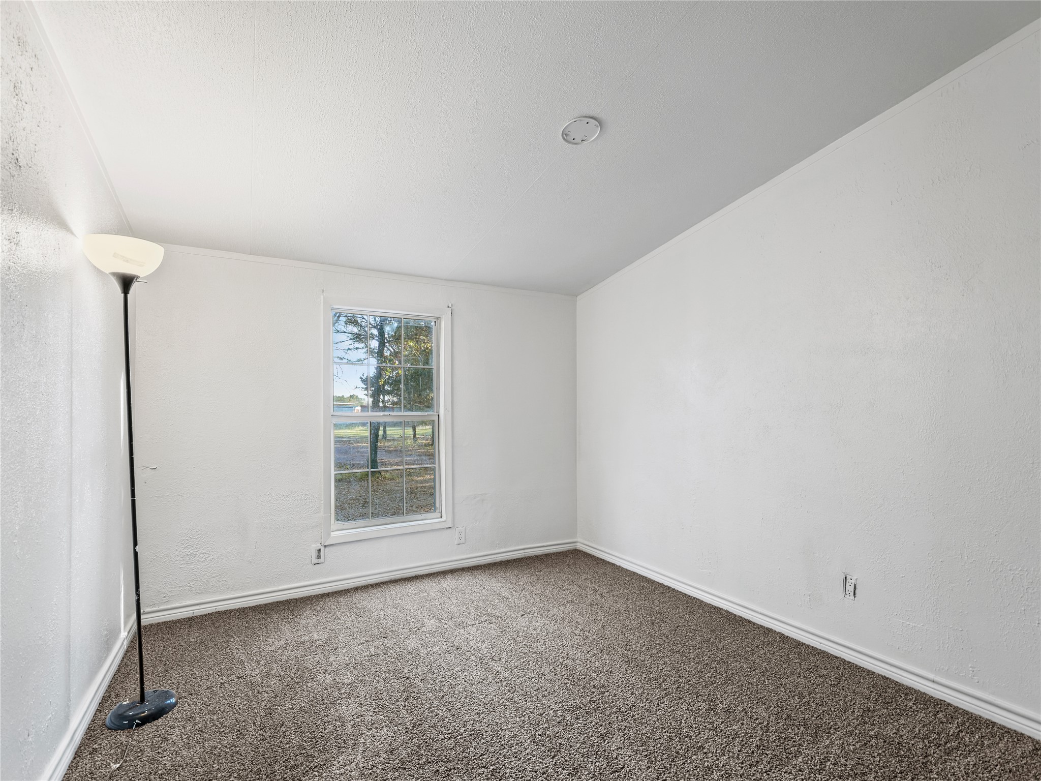 202 Forgotten Lane, Mabank, TX, 75156