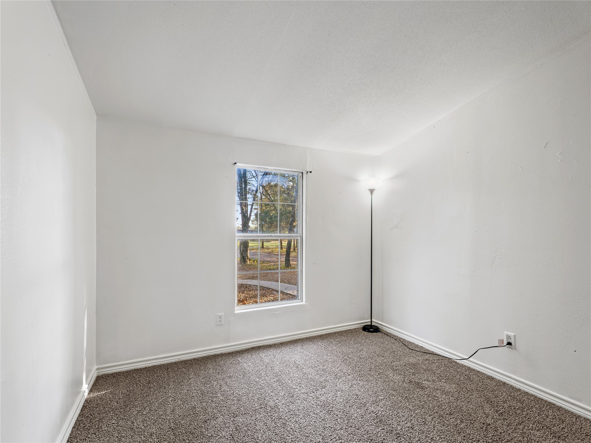 202 Forgotten Lane, Mabank, TX, 75156