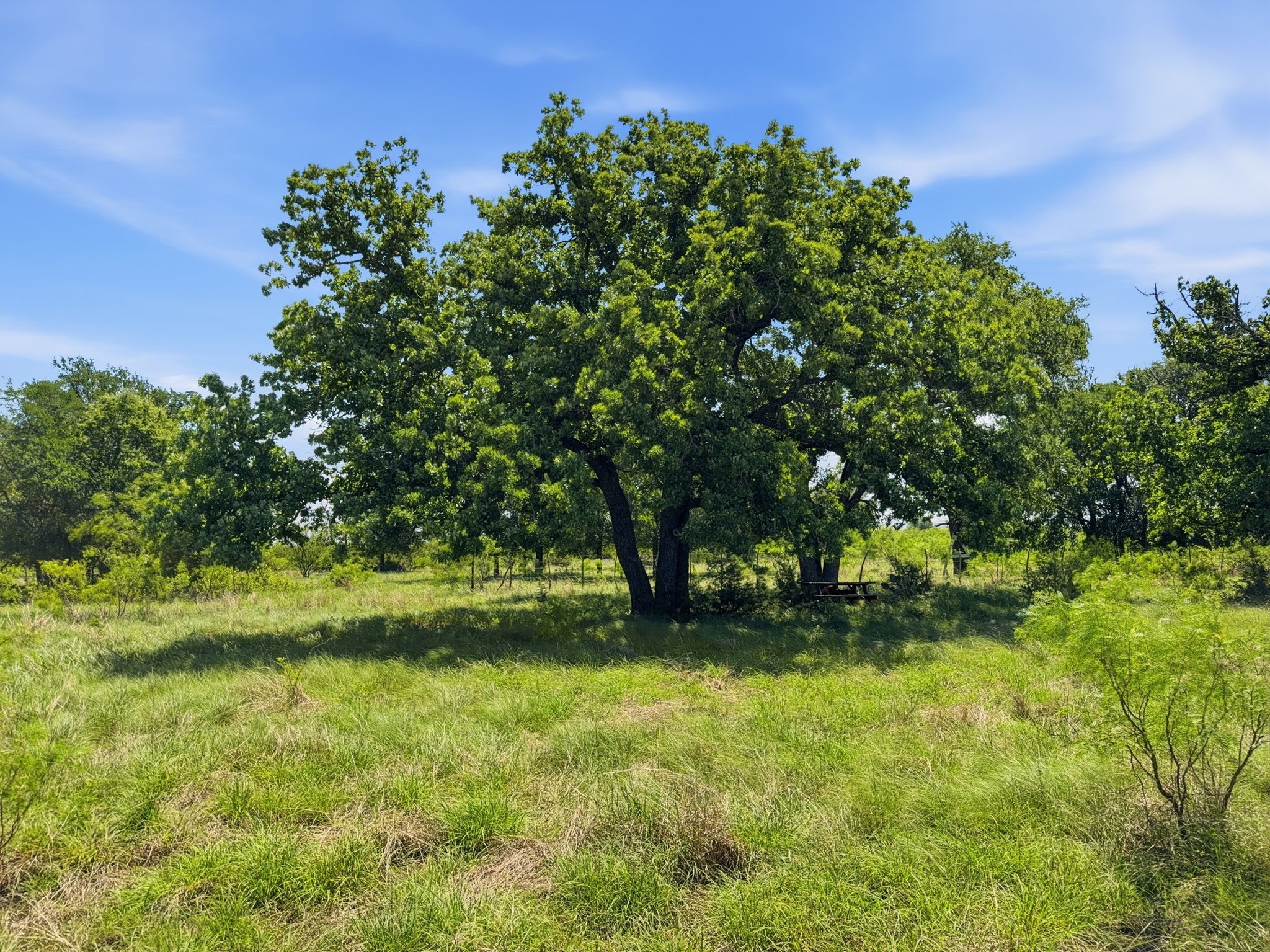 Property photo 01 of Lot 13 Ph 1 Pr 4219, Evant, TX 76525 | MLS #21259121