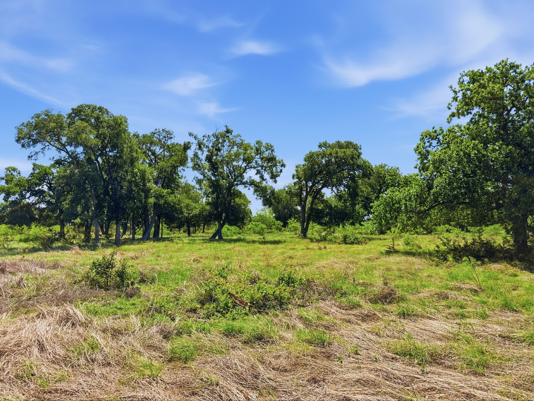 Property photo 03 of Lot 13 Ph 1 Pr 4219, Evant, TX 76525 | MLS #21259121