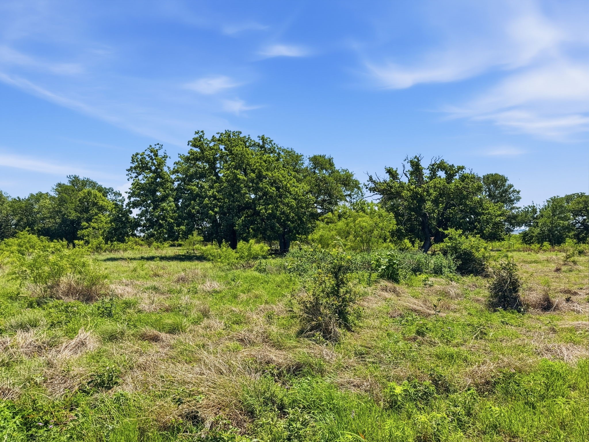 Lot 13 Ph 1 Pr 4219, Evant, TX, 76525